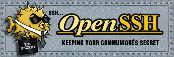 Instalar OpenSSH Server en Linux: Acceso Remoto Seguro